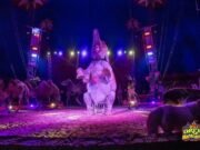 GPT-5: Revolutionizing AI Language Models for Enhanced Communication and Creativity gpt 5 revolutionizing ai language models for enhanced communication and creativity.jpg