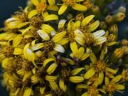 Unlocking the Potential: Exploring the Marvels of GPT-5 AI Language Model unlocking the potential exploring the marvels of gpt 5 ai language model.jpg