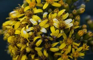 Unlocking the Potential: Exploring the Marvels of GPT-5 AI Language Model unlocking the potential exploring the marvels of gpt 5 ai language model.jpg