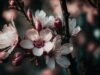 The Power of AI Language Models: Revolutionizing Communication and Creativity the power of ai language models revolutionizing communication and creativity.jpg