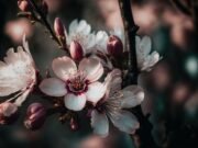 The Power of AI Language Models: Revolutionizing Communication and Creativity the power of ai language models revolutionizing communication and creativity.jpg