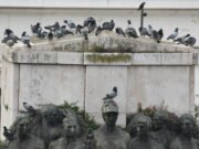 The Promise of Language GPT-3 and Beyond: Unleashing the Potential of AI in the Future the promise of language gpt 3 and beyond unleashing the potential of ai in the future.jpg