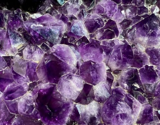 The Revolution of Natural Language Processing: Unveiling the Power of the T5 Language Model the revolution of natural language processing unveiling the power of the t5 language model.jpg